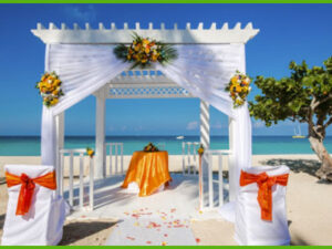 island-dream-tour-airport-transfer-negril-weddings