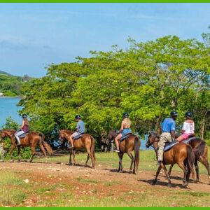 island-dream-tour-chukka-adventure-tours-horseback-riding