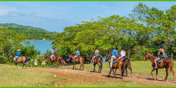 island-dream-tour-chukka-adventure-tours-horseback-riding