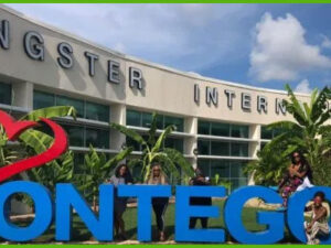 island-dream-tour-treasure-beach-montego-bay-airport