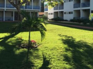 airport-transfer-to-tobys-resort-lawn