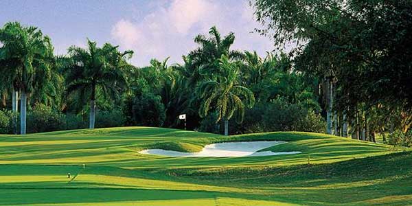 island-dream-tours-airport-transfers-to-half-moon-resort-golfing