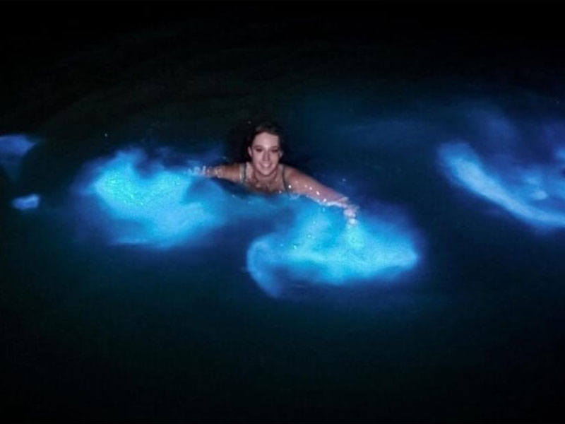 affordable-tours-jamaica-attractions-luminous-lagoon-2.jpg