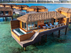 princess-senses-mangrove